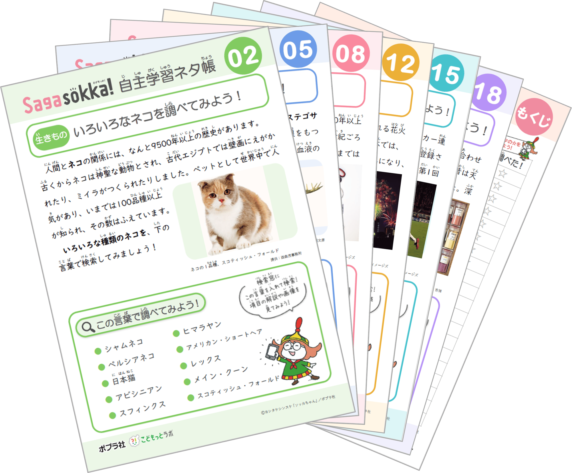 画像_Sagasokka!自主学習ネタ帳_扇形